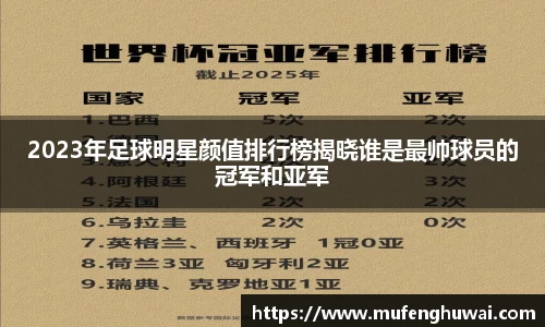 星空xingkong官方网站