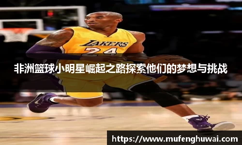 星空xingkong官方网站